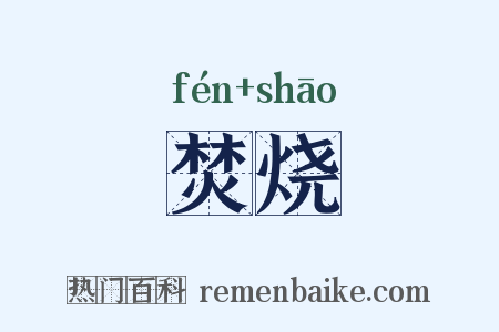 焚烧是什么意思的图片